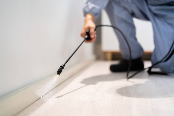 Professional exterminator conducting IPM assessment in Jay