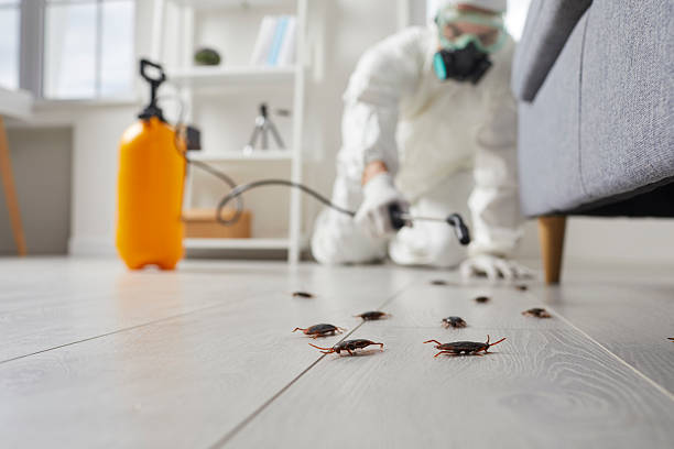 Commercial Kitchen Cockroach Control in Jay